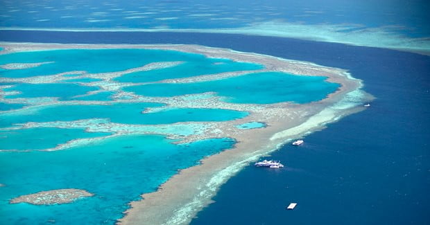 La Gran Barrera de Coral, una de las mejores cosas para ver en Australia