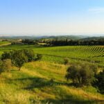 Cosa vedere nel Chianti, Toscana: un viaggio tra borghi incantati, vini pregiati e sapori autentici Chianti-Toscana
