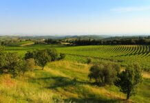Cosa vedere nel Chianti, Toscana: un viaggio tra borghi incantati, vini pregiati e sapori autentici Chianti-Toscana