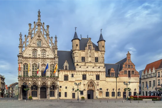 Grote Markt e municipio di Mechelen