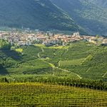 Val di Non in Trentino: guida per una vacanza indimenticabile