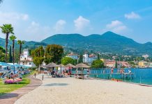 Viaggio pet-friendly in Italia: 13 mete perfette dove partire con cane o gatto senza rinunciare a comfort, natura e bellezza