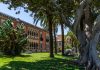 Visitare Reggio Calabria in Calabria: il gioiello sullo Stretto tra mare, cultura e storia visitare-calabria-reggio-calabria-villa-genovese-zerbi