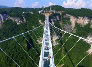 Attrazioni Spettacolari ed Esperienze Uniche da Fare in Cina ponte-di-vetro-Grand-Canyon-Zhangjiajie-Cina