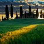 Cosa Vedere nella Val d’Orcia: Una Guida Completa tra Storia, Natura e Bellezza Infinita