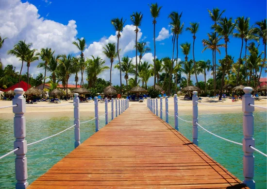 Palm Trees on Beach, Punta Cana, Repubblica Dominicana