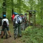 Dove fare Mountain Bike (MTB) in Italia: le 10 zone migliori per una vacanza carica di adrenalina