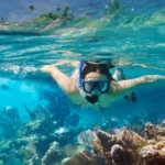Snorkeling in Italia: le 10 zone e località migliori dove andare in vacanza nel 2026 per gli amanti di questo sport