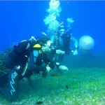 Dove fare Immersioni Subacquee in Italia: le 10 località migliori per vacanze diving mozzafiato