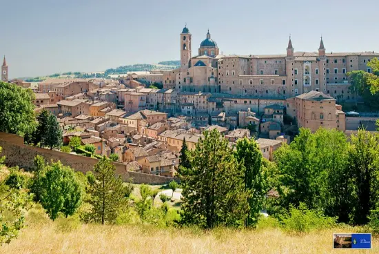 Urbino Marche