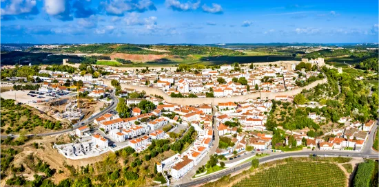 Veduta aerea del borgo fortificato di Óbidos in Portogallo