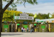 Toronto Zoo: fauna, conservazione e progetti che fanno la differenza (con consigli pratici per la visita)