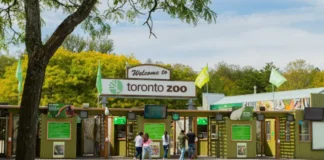 Toronto Zoo: fauna, conservazione e progetti che fanno la differenza (con consigli pratici per la visita)